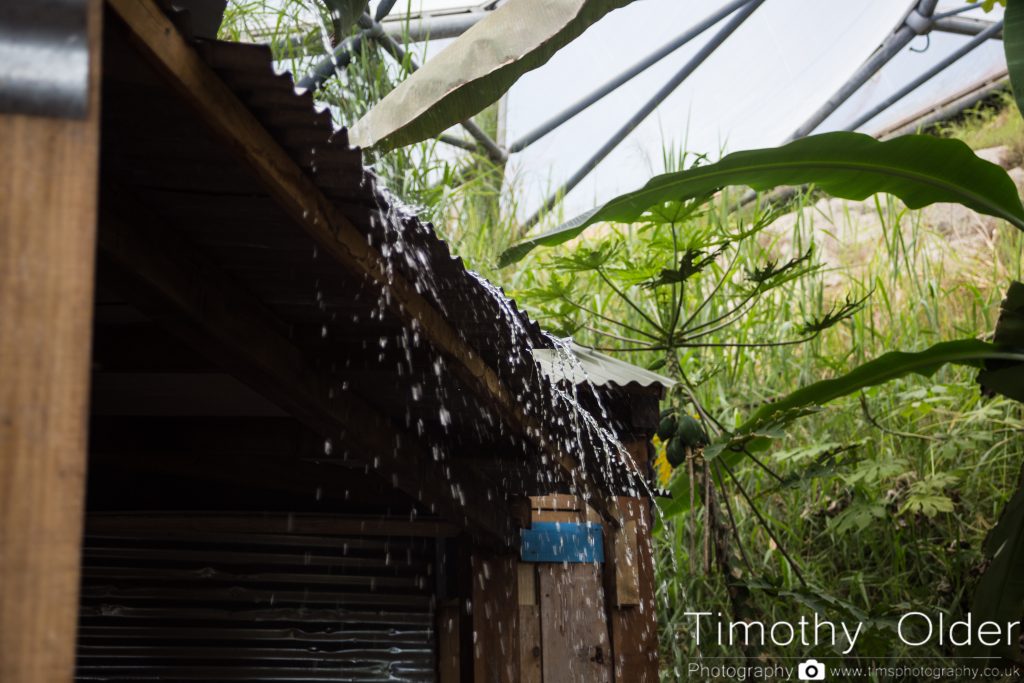 Eden Project Photograph