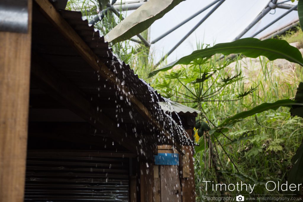 Eden Project Photograph