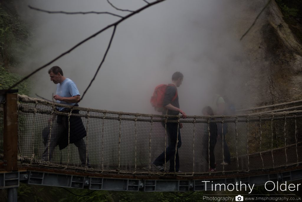 Eden Project Photograph