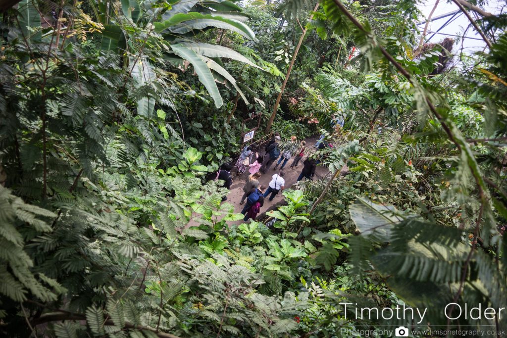 Eden Project Photograph