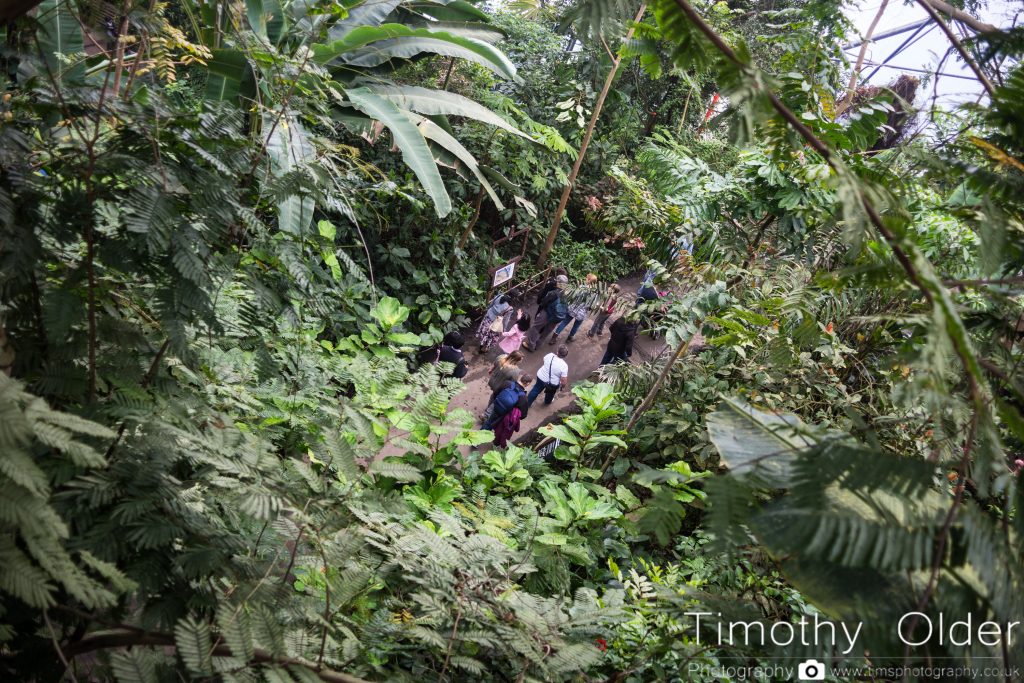 Eden Project Photograph