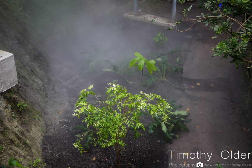 Eden Project Photograph