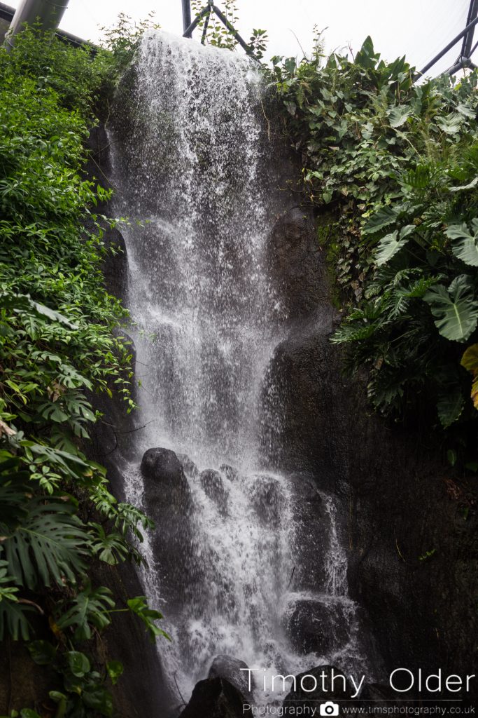 Eden Project Photograph