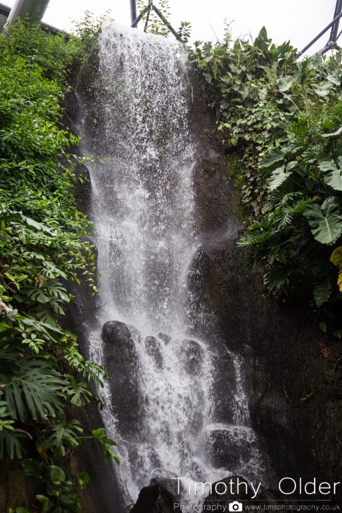 Eden Project Photograph