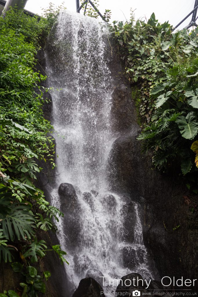 Eden Project Photograph