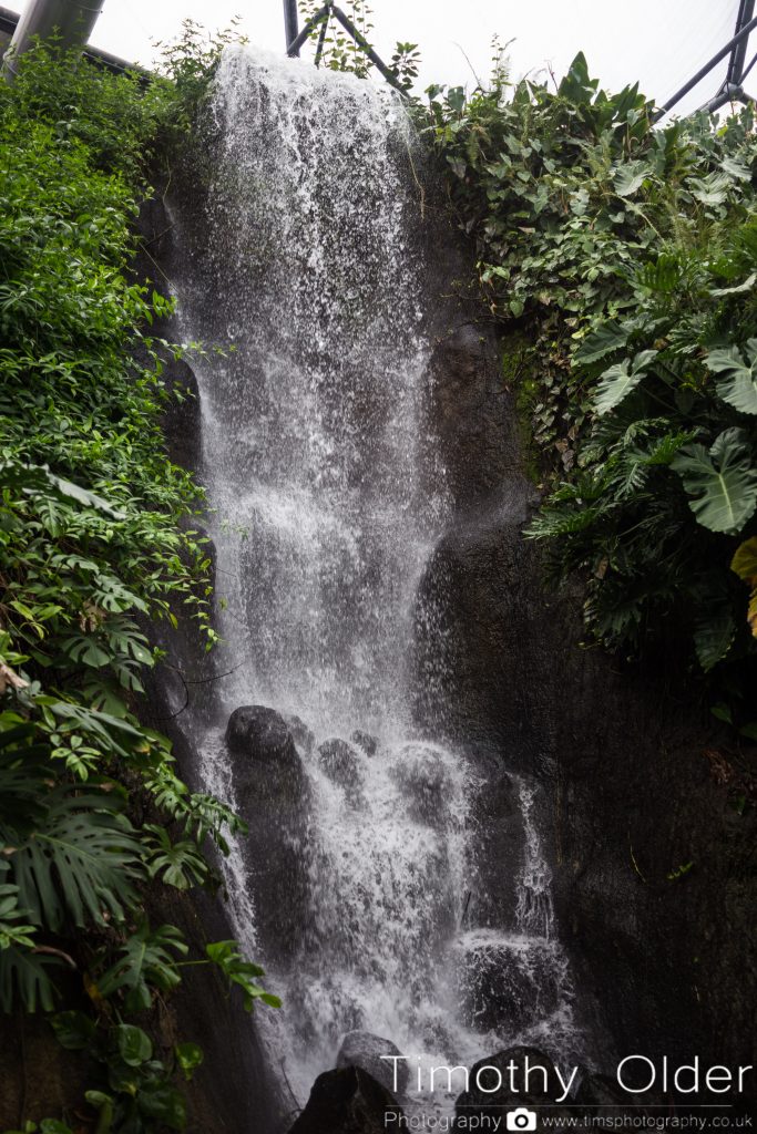 Eden Project Photograph