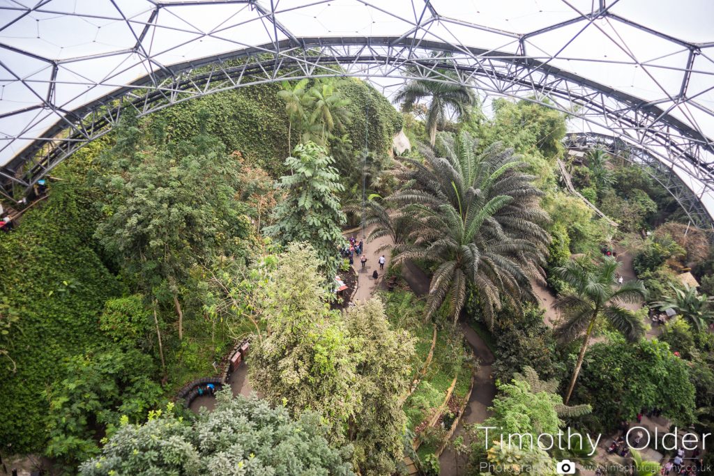 Eden Project Photograph