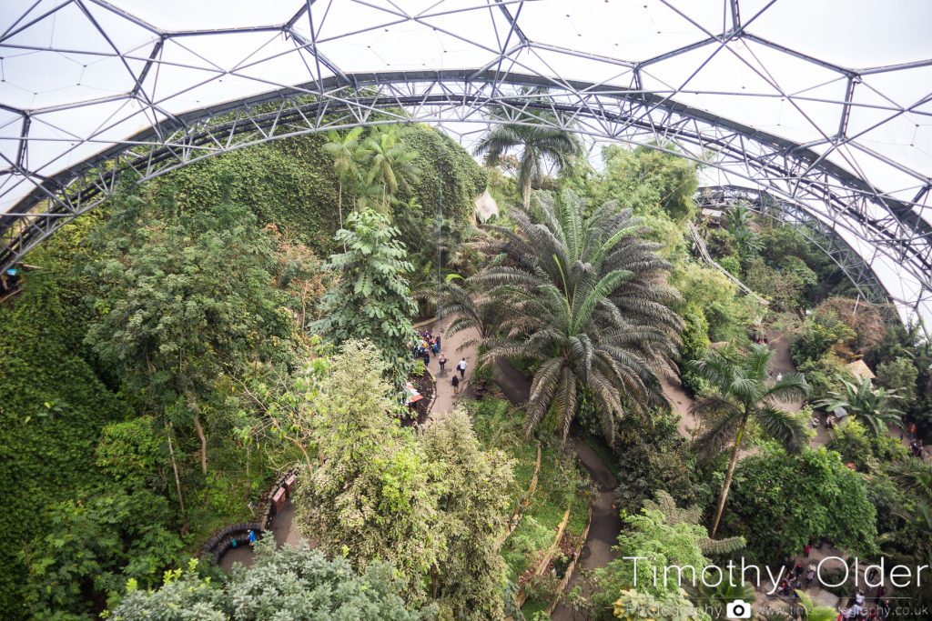 Eden Project Photograph