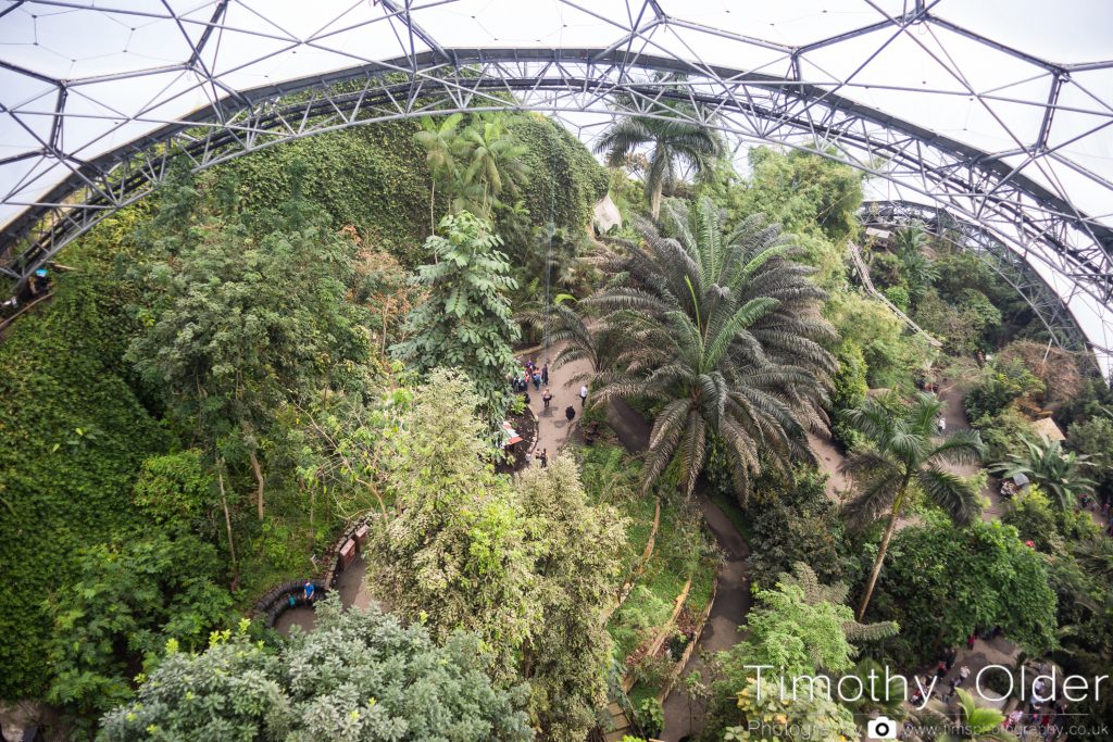 Eden Project Photograph