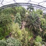 Eden Project Photograph