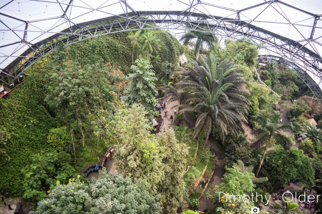 Eden Project Photograph