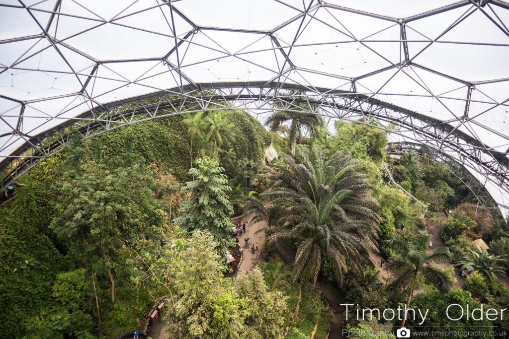 Eden Project Photograph