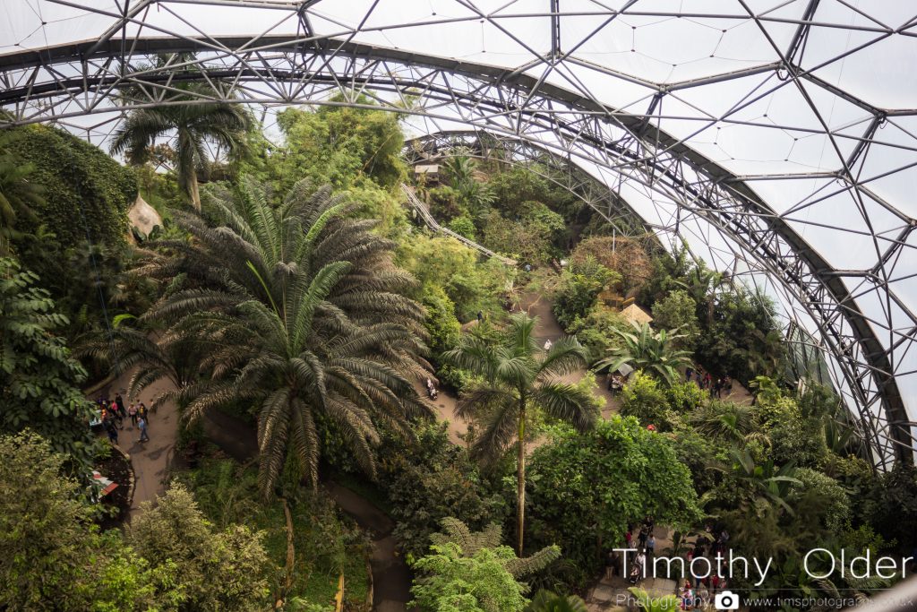 Eden Project Photograph