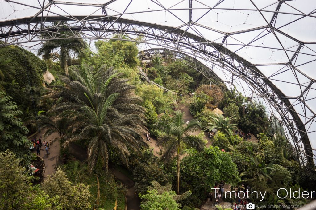 Eden Project Photograph