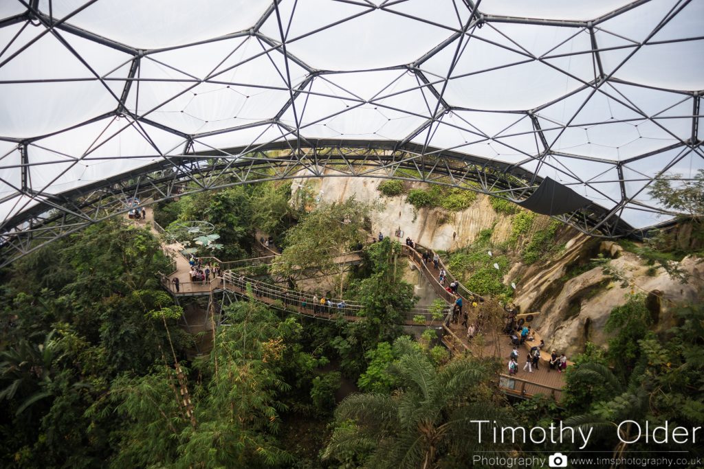 Eden Project Photograph