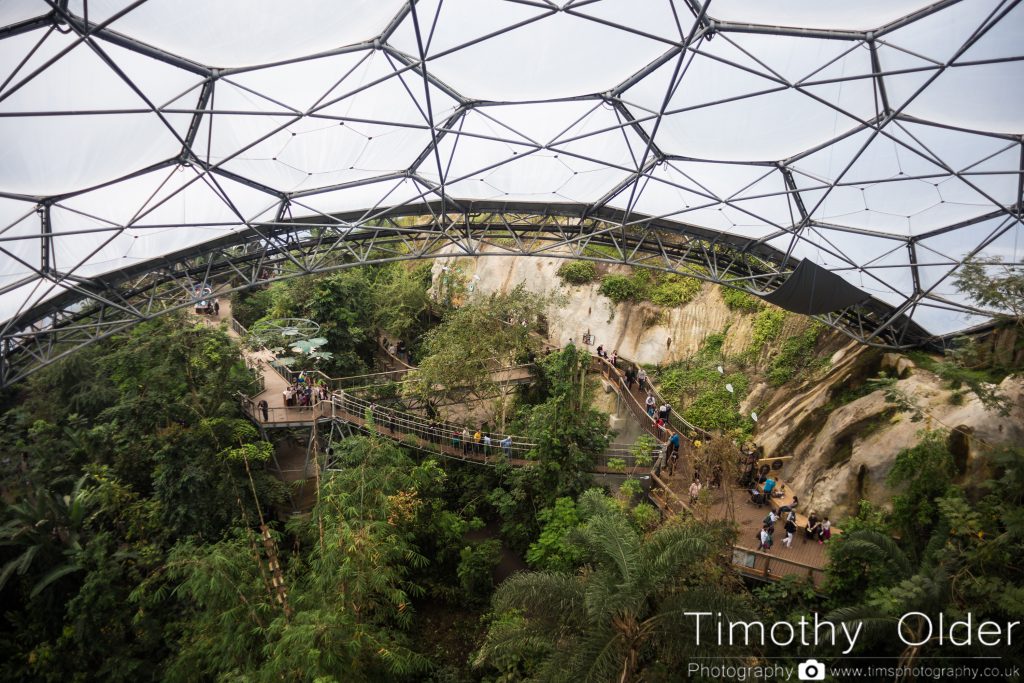 Eden Project Photograph