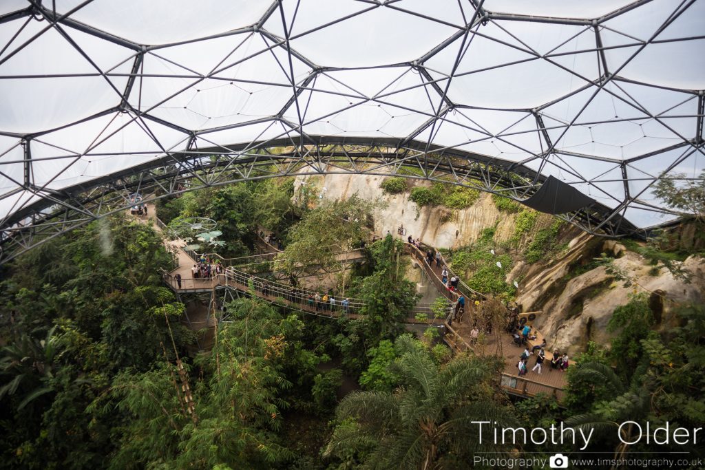 Eden Project Photograph