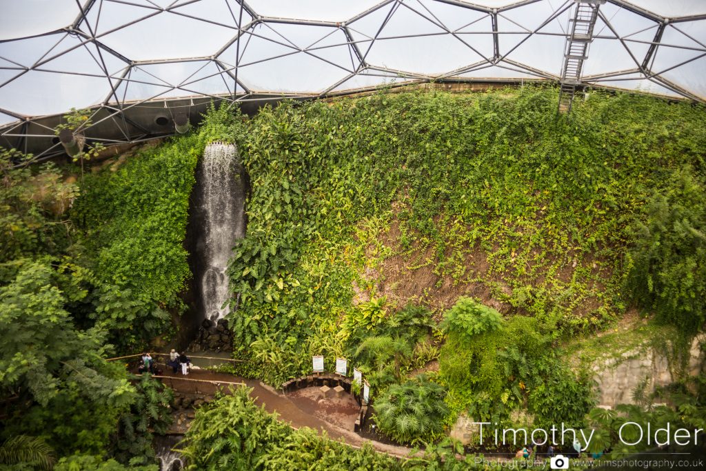 Eden Project Photograph