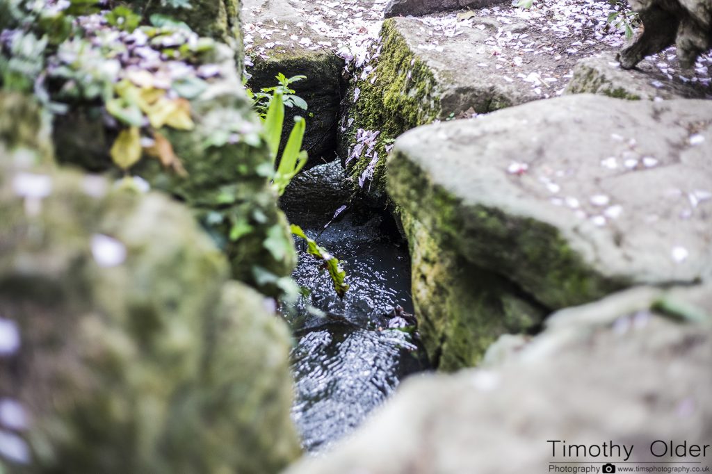 Groombridge Place - LIOP Challenge